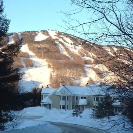 Mount Snow Greenspring 41D